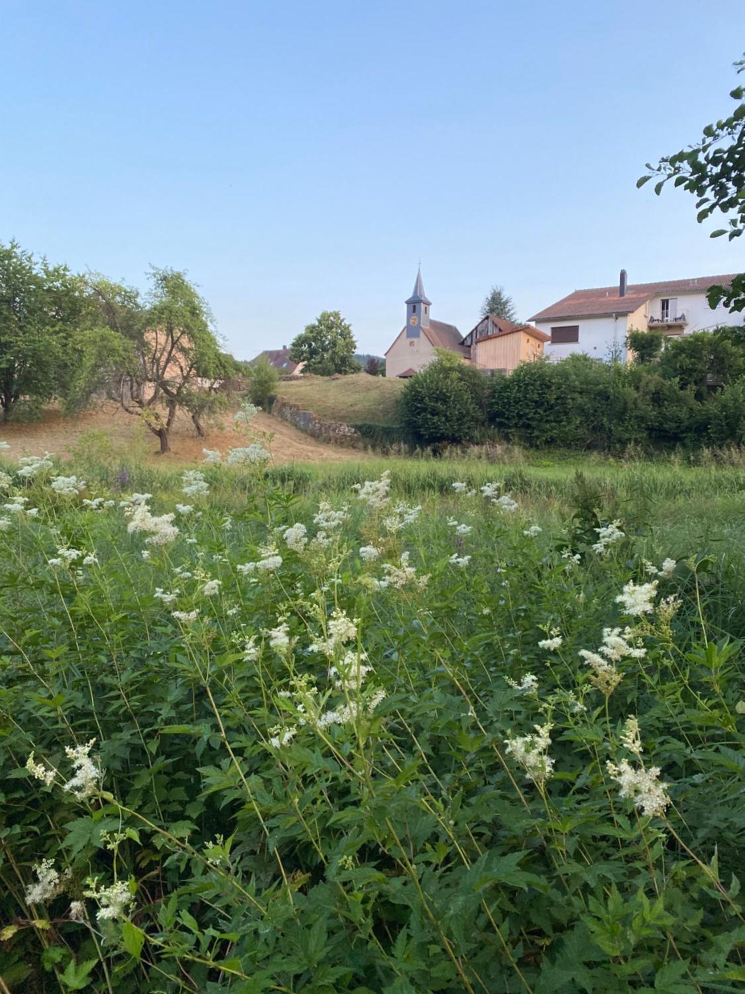 바에렌탈 Le Refuge De L'Ours 빌라 외부 사진