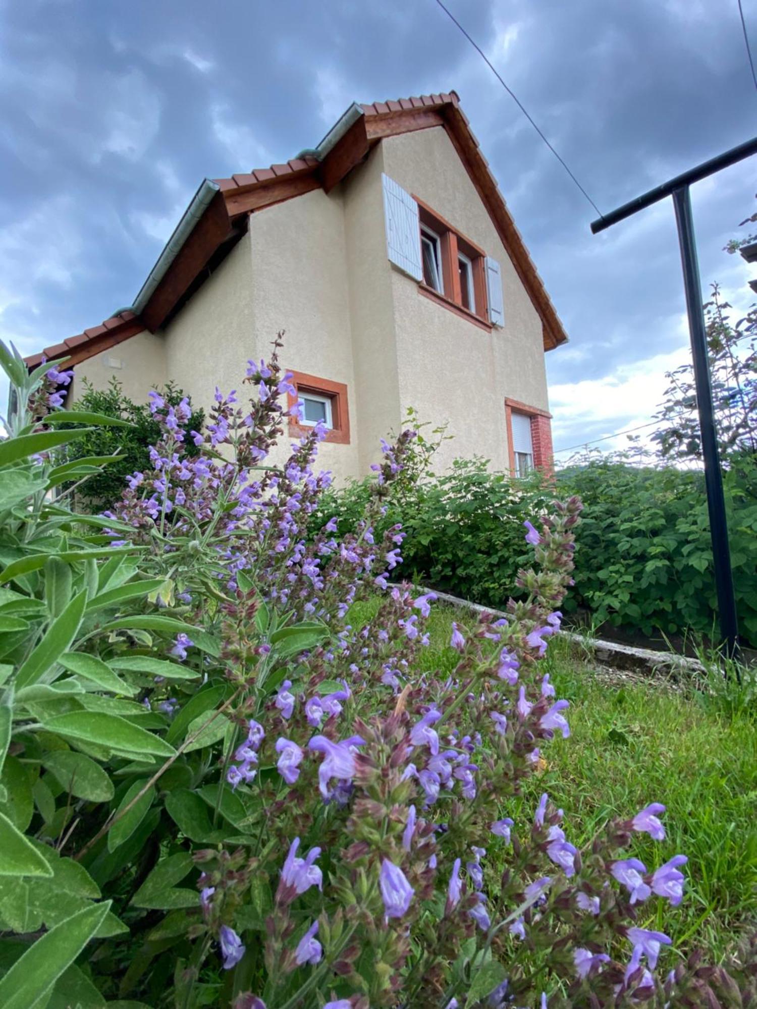 바에렌탈 Le Refuge De L'Ours 빌라 외부 사진
